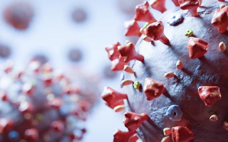 A major discovery will allow scientits to destroy the novel Coronavirus