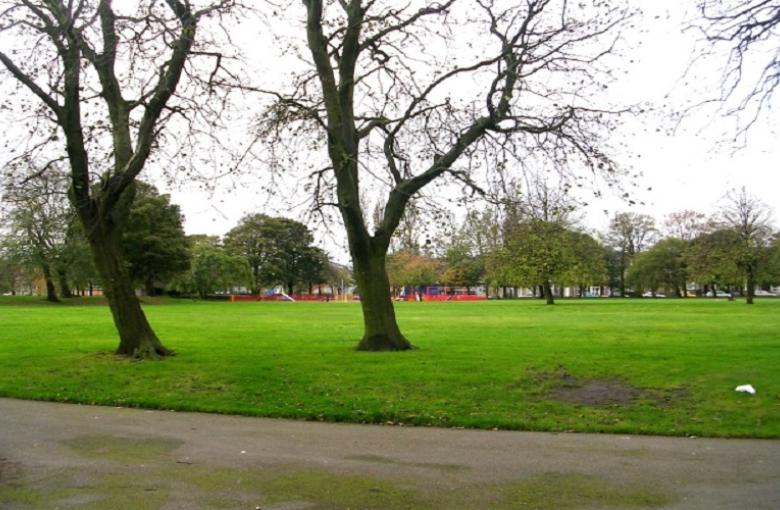 Bradford moor park