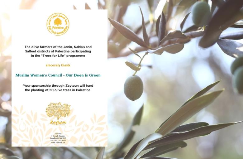 Our Deen is Green: Planting Hope in Palestine