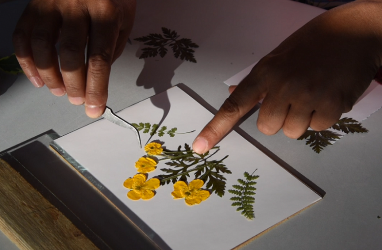 Learn Flower pressing