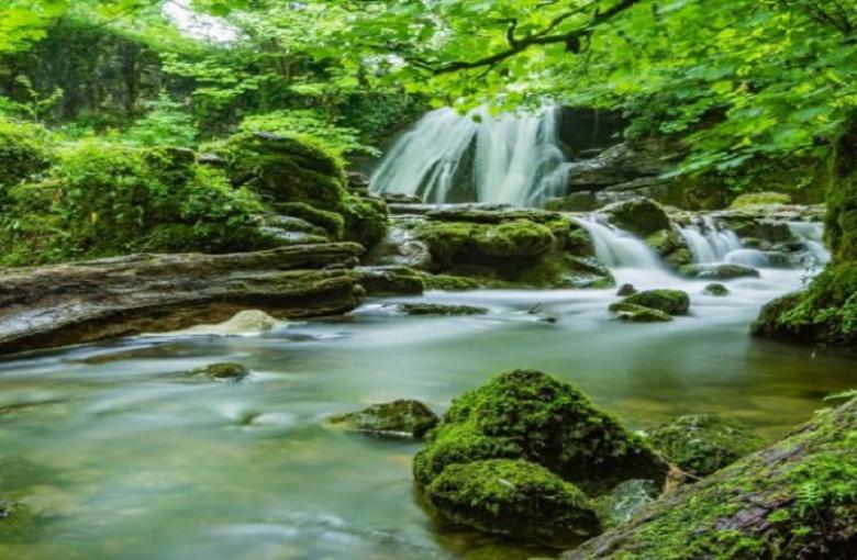 Aysgarth Falls Charity Walk